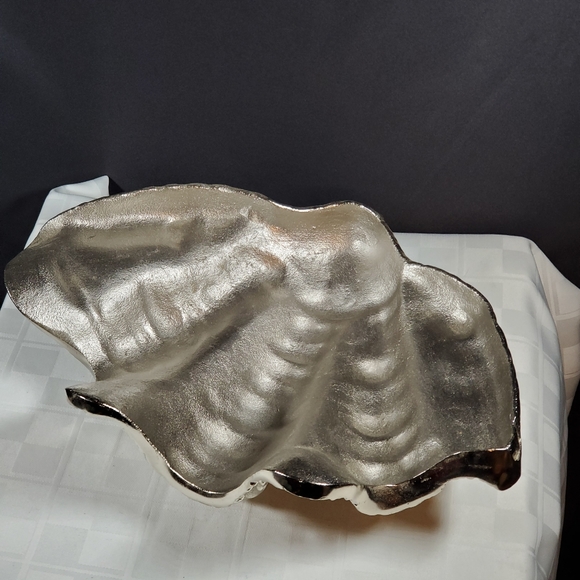 XL Sea Shell - Picture 2 of 4